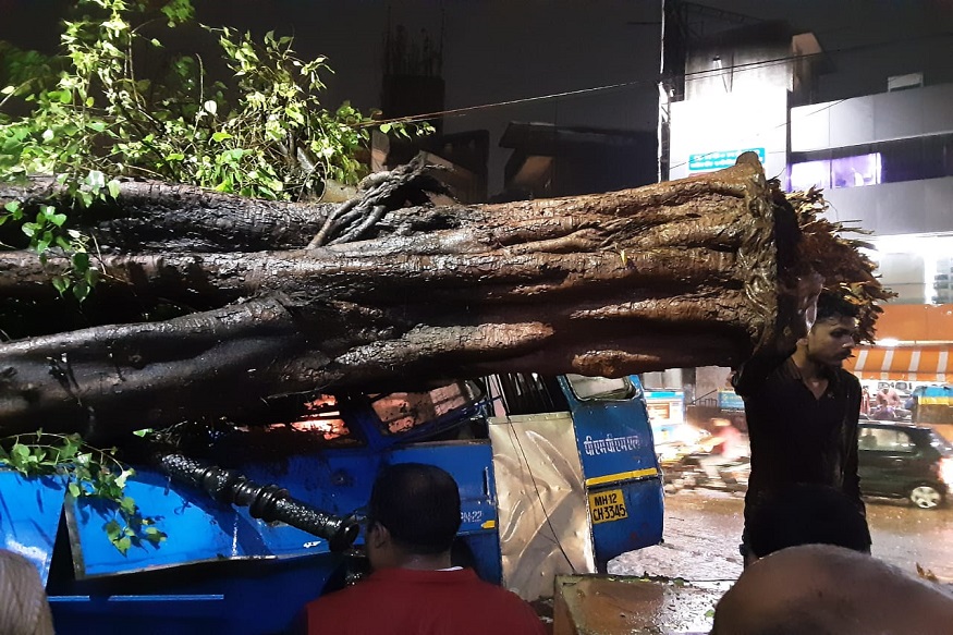 पुण्याला पावसानं पुन्हा झोडपलं, PMPबसवर झाड कोसळून चालक जखमी