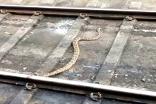 VIDEO : धावत्या ट्रेनखाली गेला साप, पाहा पुढे काय घडलं...