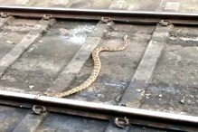VIDEO : धावत्या ट्रेनखाली गेला साप, पाहा पुढे काय घडलं... VIDEO : धावत्या ट्रेनखाली गेला साप, पाहा पुढे काय घडलं...