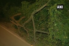VIDEO: आरेतील झाडांवर रात्री कुऱ्हाड; 700 झाडं परत द्या! आंदोलकांचा आक्रमक पवित्