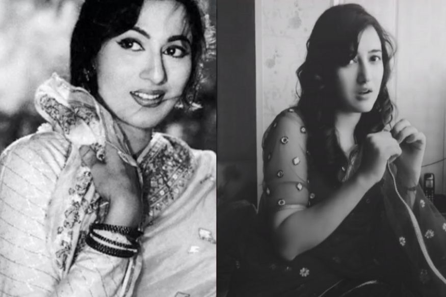 VIDEO : TikTok वर अवतरली 'मधुबाला'; सोशल मीडियावर चाहते घायाळ