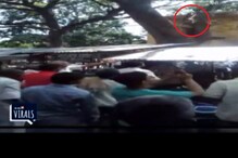 VIDEO : माकडाने पाडला पैशांचा पाऊस, पैसे घेण्यासाठी लोकांची गर्दी