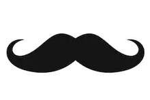 'मला मुछ नाही, तुला तर कुछच नाही'; मिशीवर सेना उमेदवार भडकला!