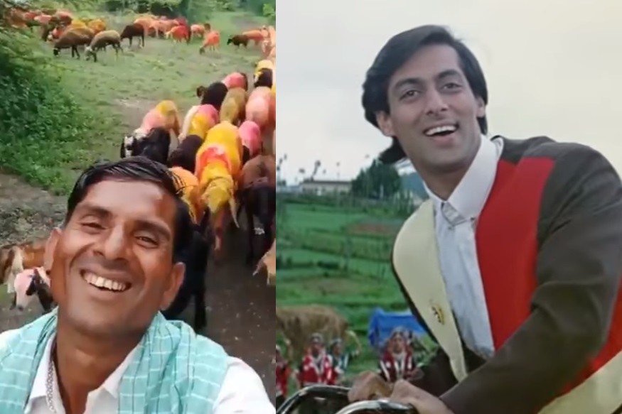 VIDEO ची हौस! मेंढपाळाने केलेला सलमान खानच्या गाण्याचा VIRAL VIDEO एकदा पाहाच!
