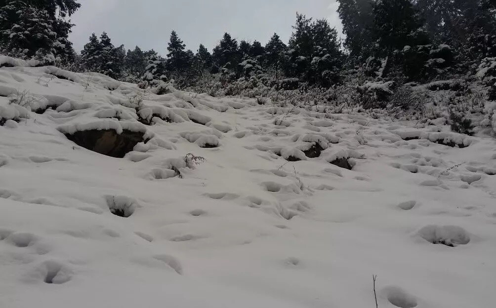 हिमवर्षावाची ही सुरुवात असून यामुळे तापमान '-10' पर्यंत खाली आलंय. त्यामुळे कडाक्याची थंडी पडलीय. हिमवर्षावाची ही सुरुवात असून यामुळे तापमान '-10' पर्यंत खाली आलंय. त्यामुळे कडाक्याची थंडी पडलीय.