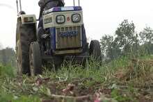पिकासाठी तारण ठेवलं सोनं परंतु शेतातील कांद्यावर नांगर फिरवण्याची आली वेळ