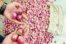 लॉकडाउन त्यात अवकाळी पाऊस, आता कांद्यानेही शेतकऱ्याला रडवलं