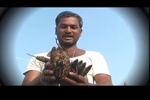 सत्ता स्थापनेसाठी वेगवान हालचाली, शेतकऱ्यांकडे मात्र होतंय दुर्लक्ष सत्ता स्थापनेसाठी वेगवान हालचाली, शेतकऱ्यांकडे मात्र होतंय दुर्लक्ष