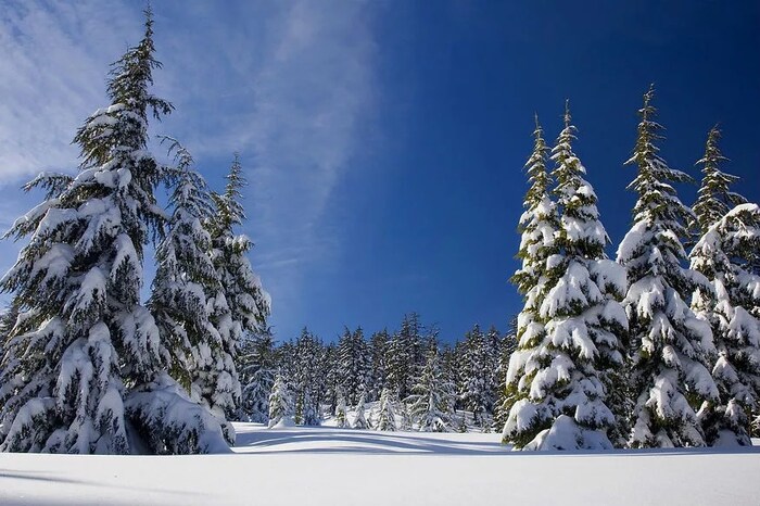 Animal Clinic of Kalispell ने फेसबुकवर ही पोस्ट केल्यावर जवळपास 10 हजारांहून अधिक लाइक्स आणि ५ हजारहून अधिक शेअर होते.