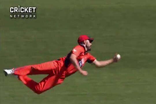 हा तर 'सुपरमॅन', एका क्षणात उडाला हवेत आणि..., पाहा अफलातून कॅचचा VIDEO