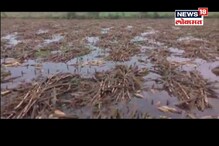 VIDEO: अवकाळी पावसानं बळीराजाला रडवलं; 2 हजार हेक्टरवरील पिकं भुईसपाट VIDEO: अवकाळी पावसानं बळीराजाला रडवलं; 2 हजार हेक्टरवरील पिकं भुईसपाट