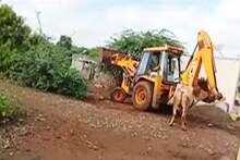 VIDEO : जेसीबीनं बैलाला चिरडणारे अखेर सापडले, इथं घडली क्रूर घटना