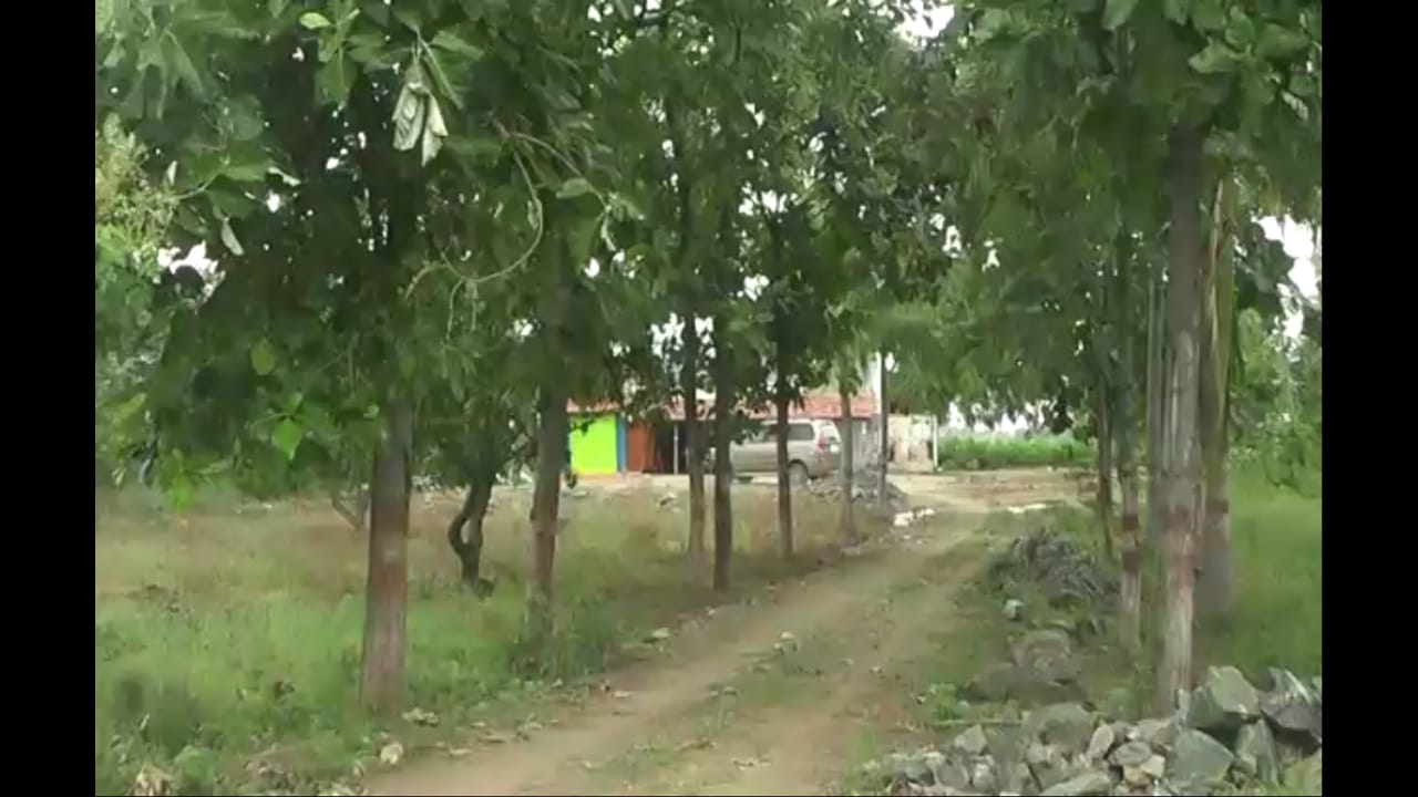 पंतप्रधान नरेंद्र मोदींची जिद्द, काम चिकाटी, शेतकऱ्यांसाठी आणलेल्या योजना या सगळ्यांवर प्रभावीत होऊन त्यांच्यावरील प्रेमापोटी पी. शंकर या शेतकऱ्याने हे मंदिर बांधलं आहे. या मंदिरात मोदींचं दर्शन घेण्यासाठी लोकांची गर्दी होते. यासोबत सोशल मीडियावरच नाही तर देशभरात लोकांमध्येही मोदींच्या या नमो मंदिराची चर्चाही जोरात आहे. पंतप्रधान नरेंद्र मोदींची जिद्द, काम चिकाटी, शेतकऱ्यांसाठी आणलेल्या योजना या सगळ्यांवर प्रभावीत होऊन त्यांच्यावरील प्रेमापोटी पी. शंकर या शेतकऱ्याने हे मंदिर बांधलं आहे. या मंदिरात मोदींचं दर्शन घेण्यासाठी लोकांची गर्दी होते. यासोबत सोशल मीडियावरच नाही तर देशभरात लोकांमध्येही मोदींच्या या नमो मंदिराची चर्चाही जोरात आहे.