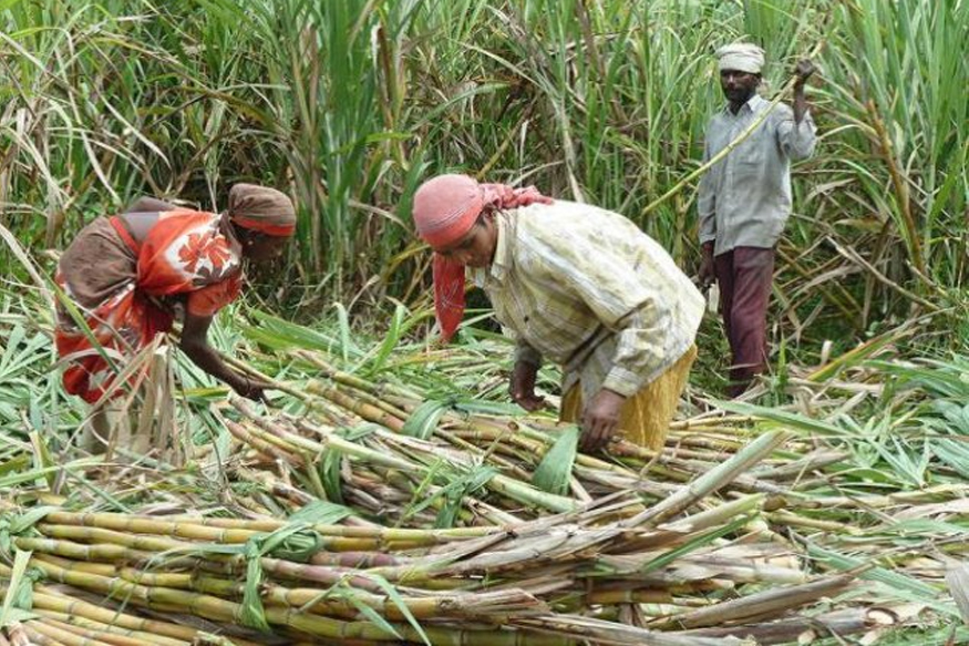 'या' योजनेअंतर्गत शेतकऱ्यांना मिळाली 62 हजार कोटींची मदत, लॉकडाऊनच्या परिस्थितीतही विशेष आर्थिक पॅकेज