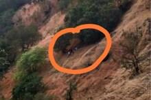 माकडांना बिस्कीट देण्यासाठी घाटात थांबला, तोल जाऊन 200 फूट दरीत कोसळला