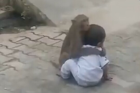 या माकडासारखं तुम्हाला कोणी मिठीत घेणारच नाही! अनुपम खेर यांनी शेअर केला VIDEO