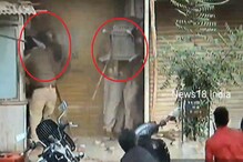 दगडफेक करणाऱ्यांना पोलीस म्हणत होते, 'असं करू नका'; सुन्न करणारा VIDEO दगडफेक करणाऱ्यांना पोलीस म्हणत होते, 'असं करू नका'; सुन्न करणारा VIDEO