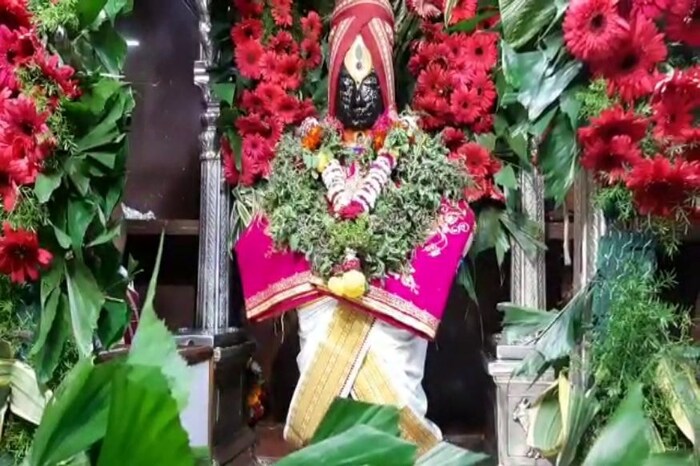 गाभाऱ्यात फुलांची आरास केल्याने विठ्ठलाच्या या रुपाला पाहून मन अगदी प्रसन्न होतं. 