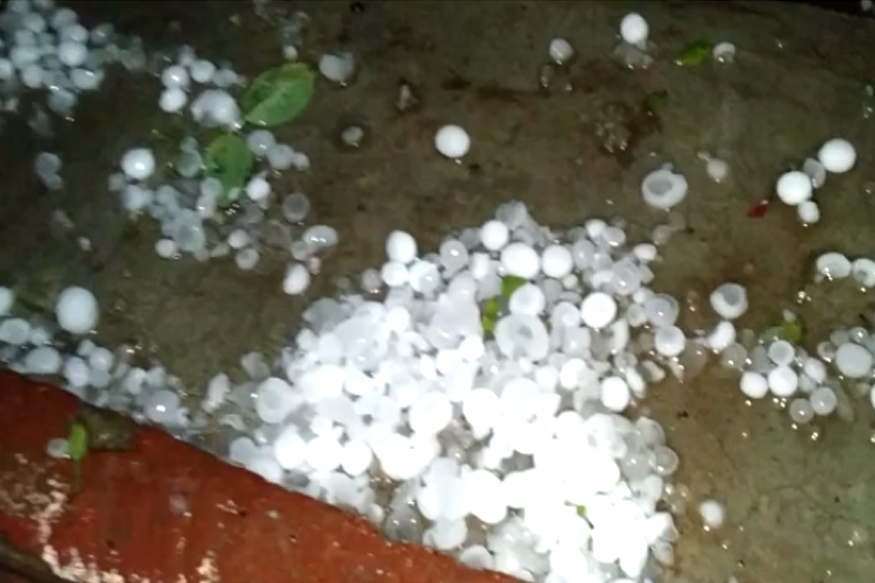 विदर्भात गारपीट तर राज्यात अनेक ठिकाणी अवकाळी पावसाचे थैमान