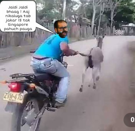 एका नेटकऱ्य़ानं कुणाल कामरा यांची खिल्ली उडवण्यासाठी चक्क भन्नाट मीम तयार केलं आहे. गाढवाची शेपूट धरून दुचाकीवरून प्रवास करणार असल्याचं नेटकऱ्यांनी म्हटलं आहे. एका नेटकऱ्य़ानं कुणाल कामरा यांची खिल्ली उडवण्यासाठी चक्क भन्नाट मीम तयार केलं आहे. गाढवाची शेपूट धरून दुचाकीवरून प्रवास करणार असल्याचं नेटकऱ्यांनी म्हटलं आहे.