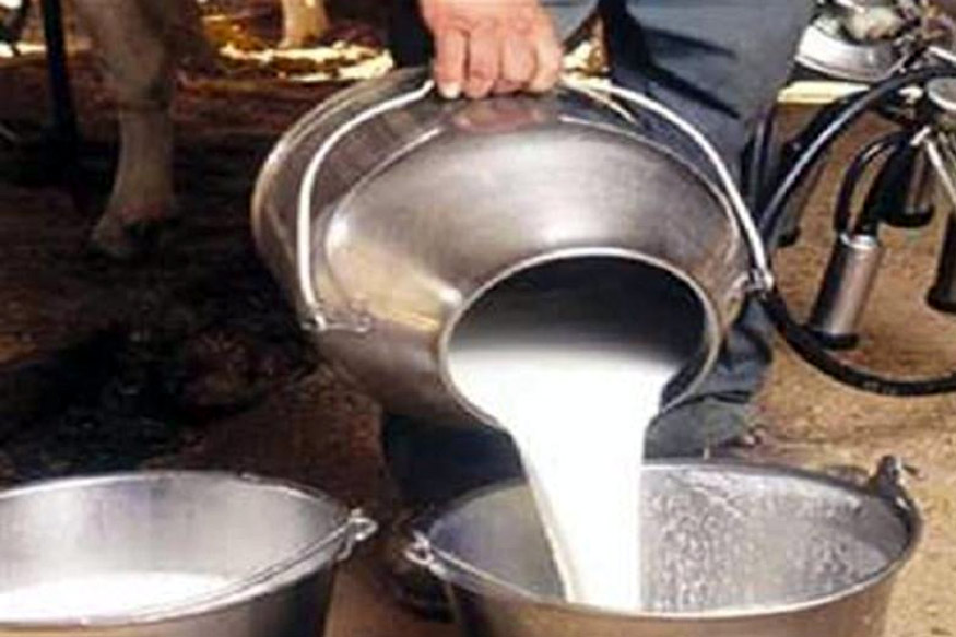 कोरोनाच्या भीतीने कर्मचारी गायब, पुणे-मुंबईचा दूध पुरवठा ठप्प होण्याची शक्यता