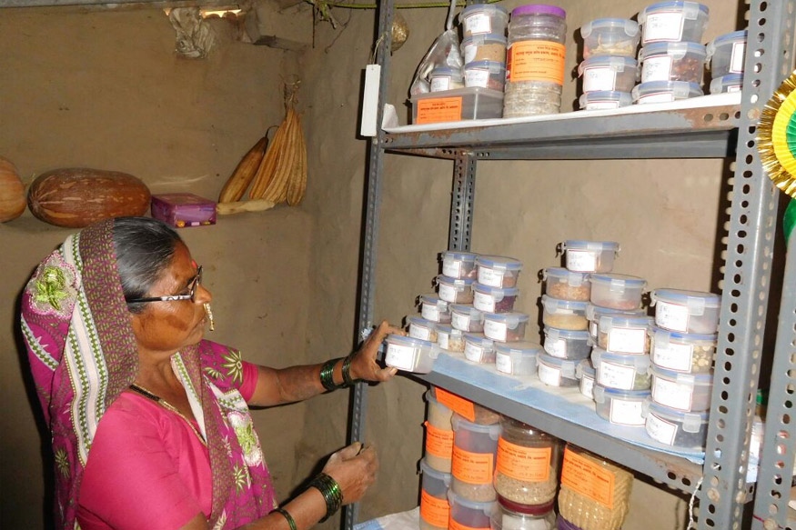 PHOTO: 'पद्मश्री' राहीबाई पोपेरे यांनी संकटांवर मात करून उभारली 'बीज बँक'