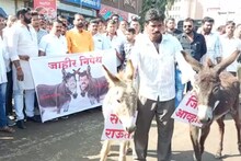 साताऱ्यात गाढवांच्या गळ्यात संजय राऊत आणि जितेंद्र आव्हाडांच्या नावाच्या पाट्या