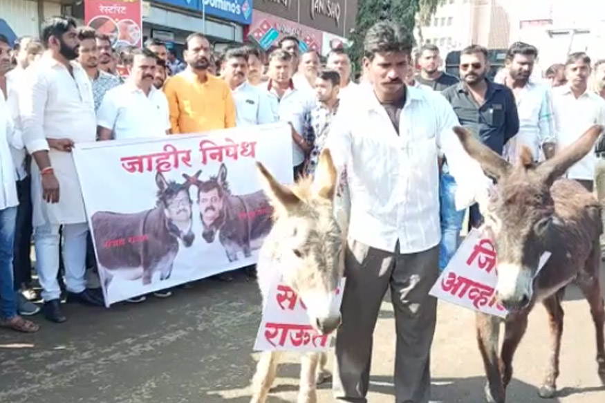 साताऱ्यात गाढवांच्या गळ्यात संजय राऊत आणि जितेंद्र आव्हाडांच्या नावाच्या पाट्या