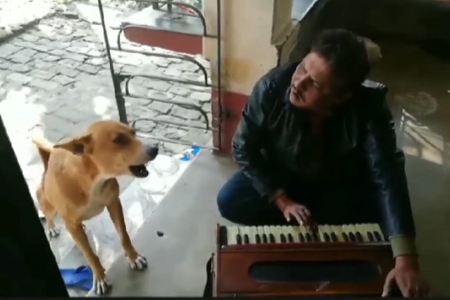 रानु मंडलच्या गाण्याचा 'इमानदार' चाहता, सोशल मीडियावर VIDEO VIRAL