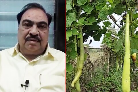 राजकीय क्षेत्रात काम करत असताना मला वेळ कमी मिळतो. कारण कार्यकर्त्यांच्या भेटीगाठी सतत सुरू असतात. तरी देखील मी मुळचा शेतकरी आहे.