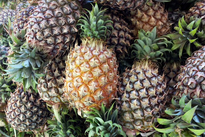अननस - यामध्ये ब्रोमोलेन (bromelain) असतं, जे सर्दी पातळ करतं आणि अॅलर्जी कमी होण्यासही मदत होते. अननस - यामध्ये ब्रोमोलेन (bromelain) असतं, जे सर्दी पातळ करतं आणि अॅलर्जी कमी होण्यासही मदत होते.