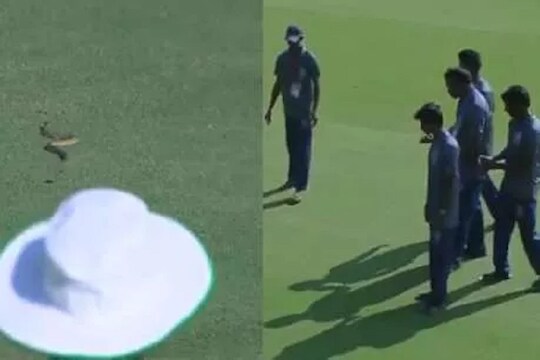 Ranji Trophy: LIVE सामन्यात घुसले 2 साप, थोडक्यात वाचला अजिंक्य रहाणे; PHOTO VIRAL