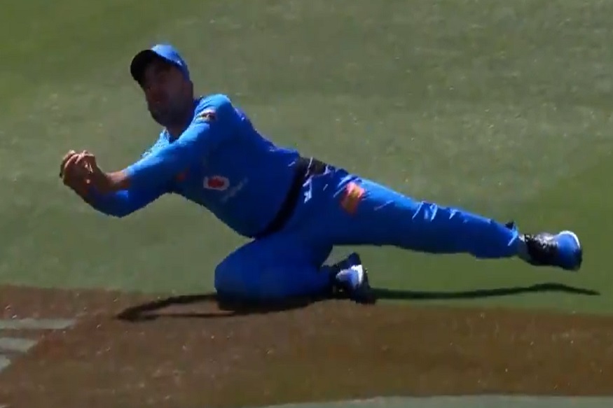 खाली पडला पण कॅच नाही सोडला! रशीद खानच्या VIDEOने सोशल मीडियावर धुमाकूळ