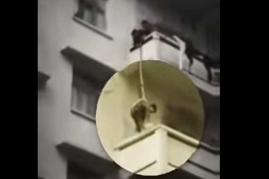 मांजरीला वाचवण्यासाठी आज्जीने नातवाला 5व्या मजल्यावर लटकवलं, पाहा Shocking Video