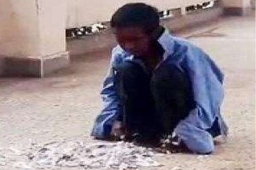 कुणी नाही दिला भाकरीचा तुकडा, शेवटी जिवंत कबुतराला खाल्लं!