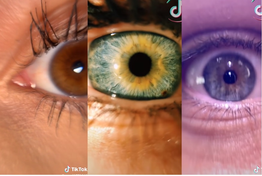 Image credits : Screenshot of videos.