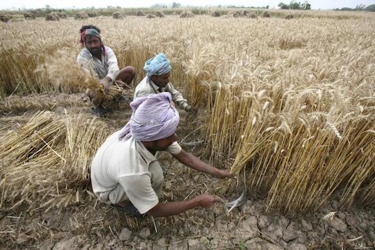 शेतकऱ्यांसाठी अच्छे दिन येणार, उत्पन्न दुप्पट करण्यासाठी मोदी सरकारचा मोठा निर्णय