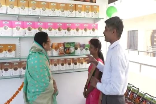 फास्ट फूडला टक्कर देण्यासाठी उभारला ‘ज्वारीचा मॉल’, मराठमोळ्या दाम्पत्याची भन्नाट आयडिया!