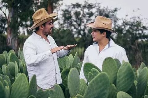 मेक्सिकोच्या दोन मित्रांनी निवडुंगापासून चामडं तयार केलं आहे. याला त्यांनी नाव दिलंय, वेगन लेदर. ऑर्गॅनिक लेदर बनवल्यामुळे या दोघांना जगभरात प्रसिद्धी मिळाली. 