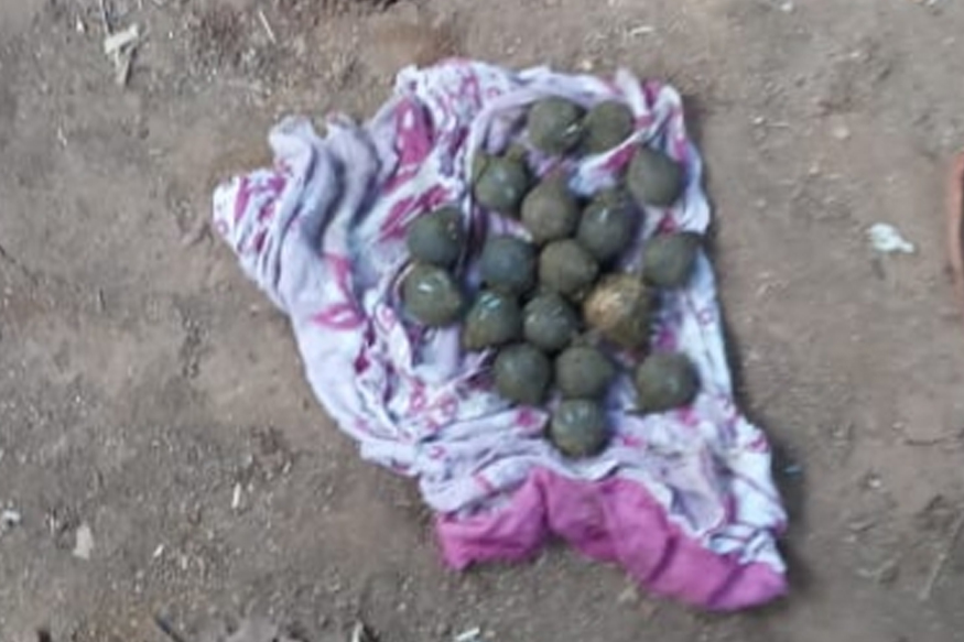 चिपळूणच्या कुशिवडे गावात सापडला गावठी बॉम्बचा साठा, रचला होता सापळा!