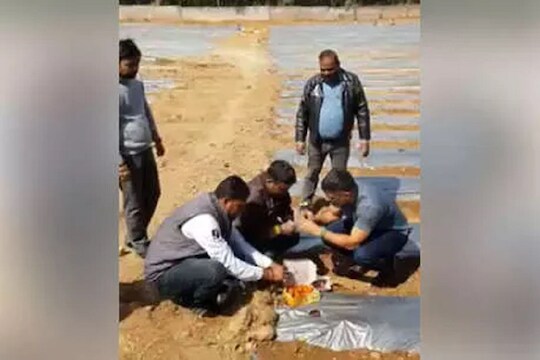 क्रिकेट सोडून धोनी करतोय शेती! पपई, टरबूजाची लागवड करतानाचा VIDEO VIRAL