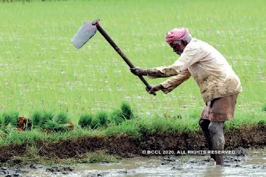 मोदी सरकारने  शेतकऱ्यांसाठी घेतला हा सर्वात मोठा निर्णय, 5 दशकांची मागणी पूर्ण