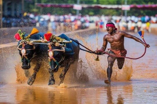 बोल्टपेक्षा वेगाने धावला भारतीय तरुण? 100 मीटर अंतर कापलं 9.55 सेकंदात, पाहा VIDEO