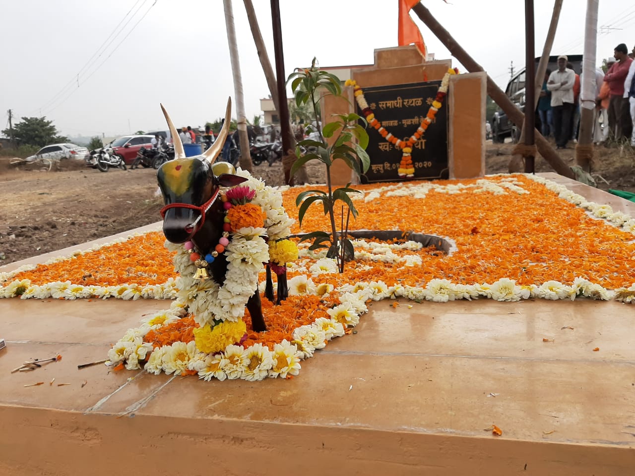शेतकऱ्याचा जीवाभावाचा खरा मित्र म्हणजे शेतीत काबाडकष्ट करणारा बैल. मावळ तालुक्यातील अशाच एका मायाळू बैलाने वयाची तब्बल 18 वर्ष इमानेइतबारे प्रपंचाचा गाडा ओढत शेतकऱ्याला साथ दिली दहा दिवसांपूर्वी आजारपणामुळे या कबिऱ्या नावाच्या बैलाचा दुर्देवी अंत झाला. शेतकऱ्याचा जीवाभावाचा खरा मित्र म्हणजे शेतीत काबाडकष्ट करणारा बैल. मावळ तालुक्यातील अशाच एका मायाळू बैलाने वयाची तब्बल 18 वर्ष इमानेइतबारे प्रपंचाचा गाडा ओढत शेतकऱ्याला साथ दिली दहा दिवसांपूर्वी आजारपणामुळे या कबिऱ्या नावाच्या बैलाचा दुर्देवी अंत झाला.