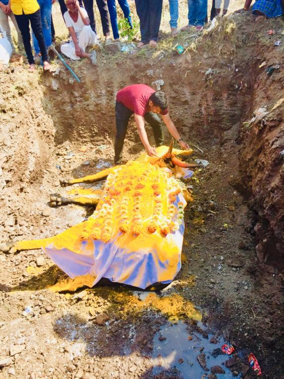 तसंच तालुक्यातील प्रत्येक गाडामालकाला निमंत्रित करून दशक्रिया विधी पार पाडला. अनेक गाडा मालकांना बैल मालकाच्या बैलावरील असलेल्या प्रेमाचे अतूट नाते पाहून अश्रू अनावर झाले. तसंच तालुक्यातील प्रत्येक गाडामालकाला निमंत्रित करून दशक्रिया विधी पार पाडला. अनेक गाडा मालकांना बैल मालकाच्या बैलावरील असलेल्या प्रेमाचे अतूट नाते पाहून अश्रू अनावर झाले.