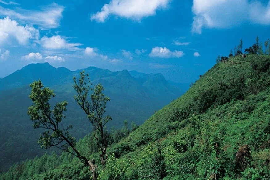 कुर्ग - ज्याला कोडगू म्हणूनही ओळखलं जातं, कर्नाटकातील हा एक जिल्हा. दक्षिण भारतातील एक प्रमुख पर्यटन स्थळ. नैसर्गिक सौंदर्य आणि ताज्या हवेसाठी इथं फिरणं तुमच्यासाठी फायदेशीर ठरेल. तुमच्या आरोग्यासाठी या ठिकाणचं वातावरण उत्तम आहे. कुर्ग - ज्याला कोडगू म्हणूनही ओळखलं जातं, कर्नाटकातील हा एक जिल्हा. दक्षिण भारतातील एक प्रमुख पर्यटन स्थळ. नैसर्गिक सौंदर्य आणि ताज्या हवेसाठी इथं फिरणं तुमच्यासाठी फायदेशीर ठरेल. तुमच्या आरोग्यासाठी या ठिकाणचं वातावरण उत्तम आहे.
