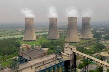 परळीत तब्बल 4 हजार झाडाची कत्तल, राखेच्या चोरीसाठी झाडांचा बळी