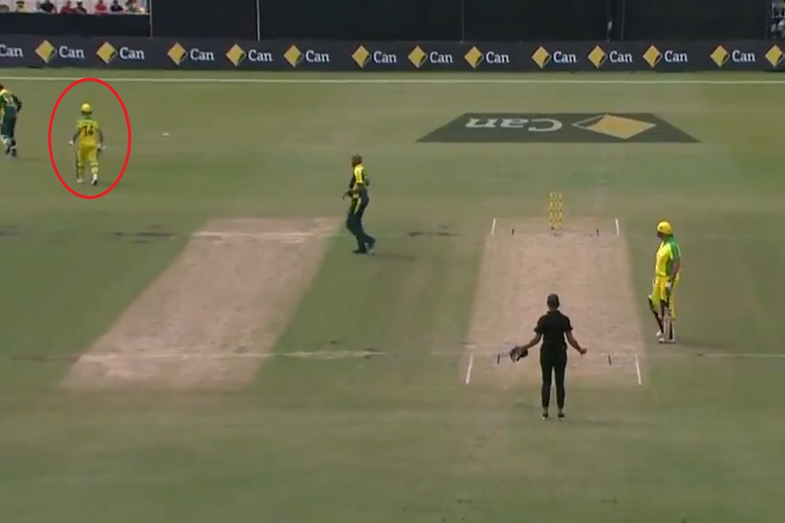 VIDEO : क्रिकेटच्या इतिहासात असं कधी घडलं नाही, दिग्गज फलंदाज खेळपट्टी सोडून चेंडूमागे धावू लागला