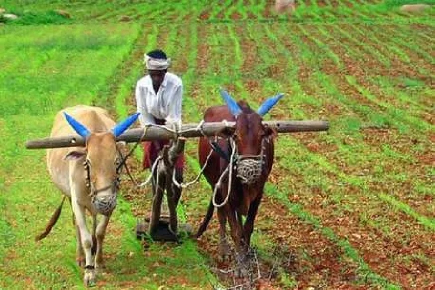 Budget 2020 : मोदी सरकारचा शेतकऱ्यांसाठी मेगाप्लॅन, 'शेतकरी रेल्वे'सारख्या 16 योजना