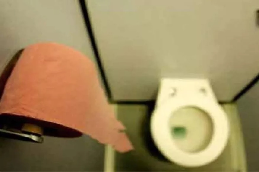 'या' देशातल्या नागरिकांना सरकारला द्यावी लागते आपली विष्ठा; दररोज 90 किलो मलत्याग करण्याचे आदेश